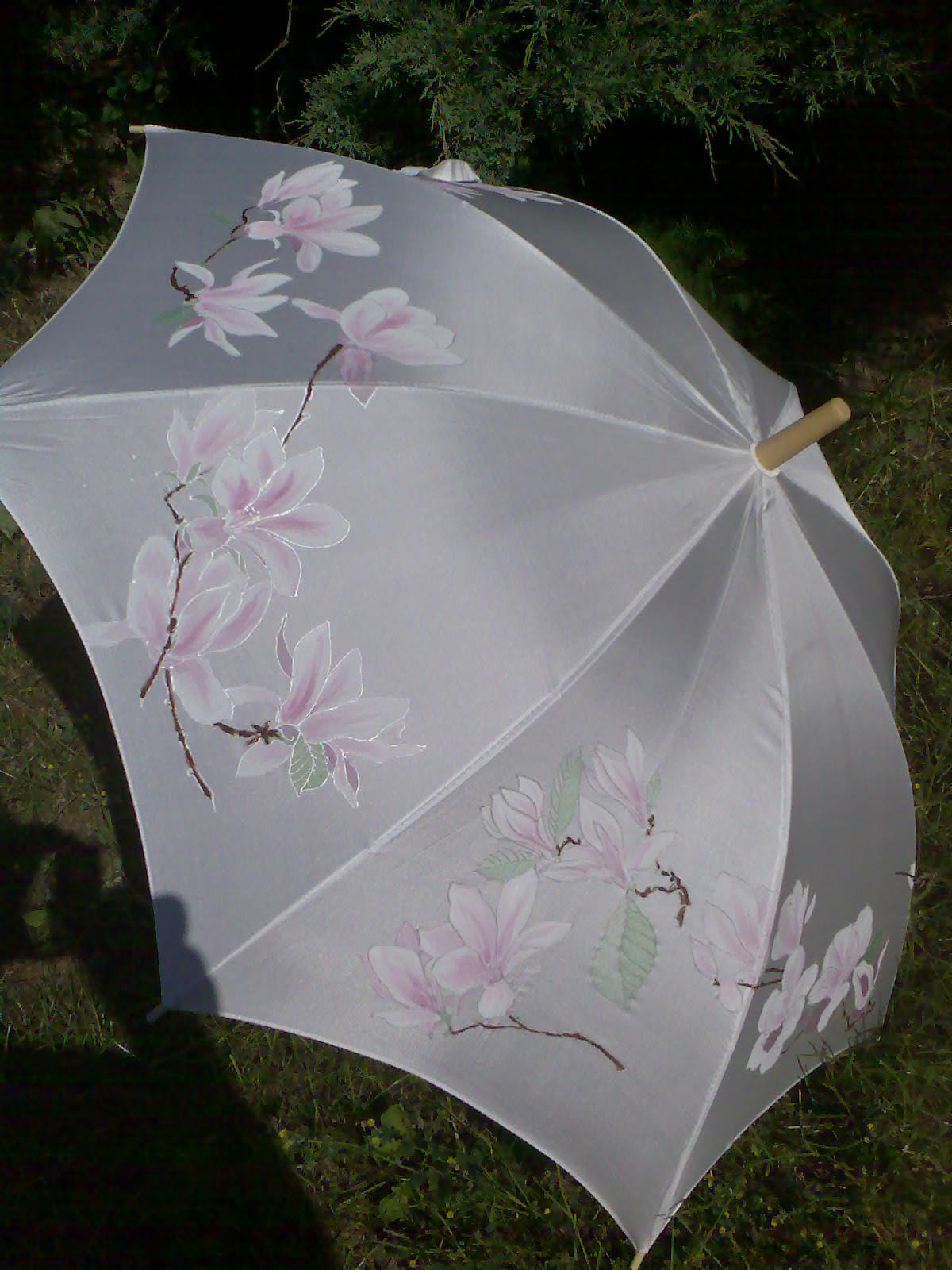 deštník magnólie